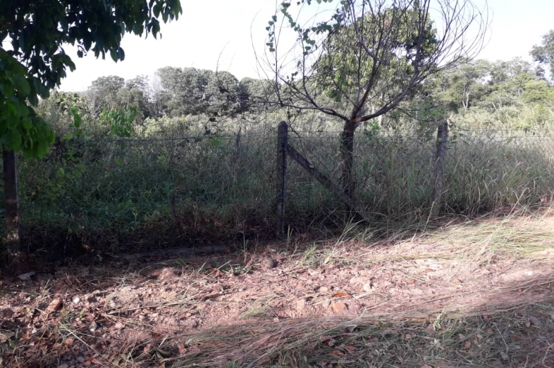 WhatsApp Image 2019-08-15 at 9.20.40 AM (1).jpeg